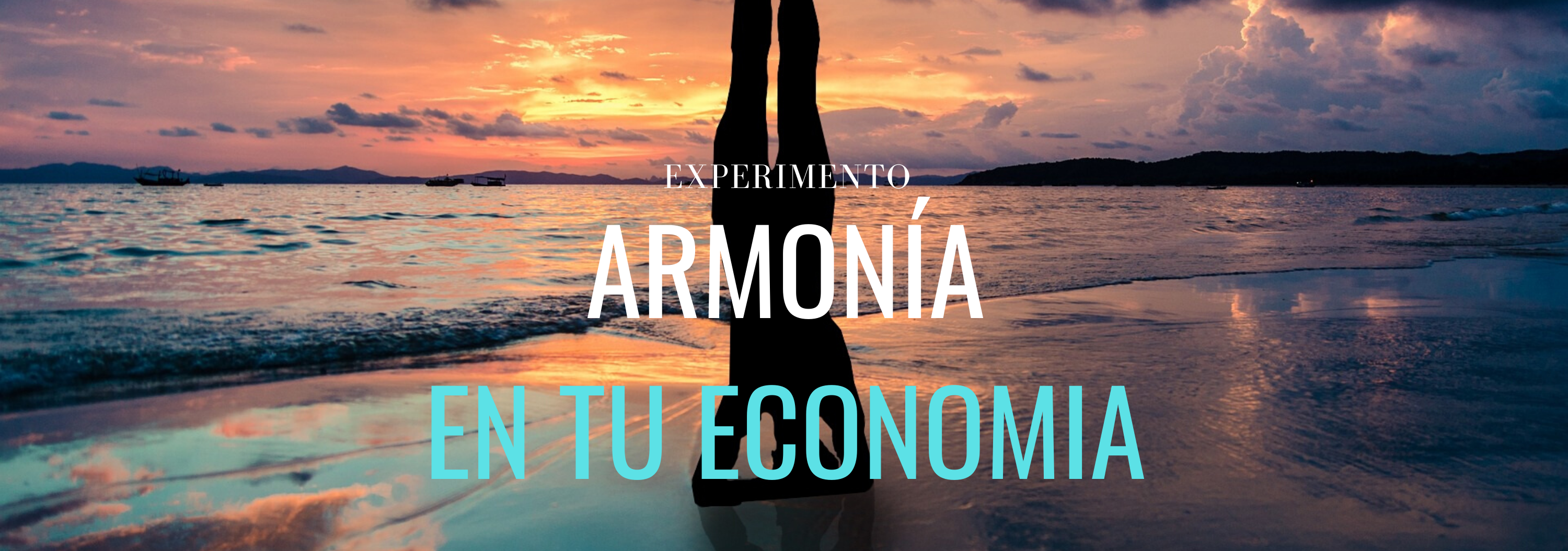 armonia en tu economia