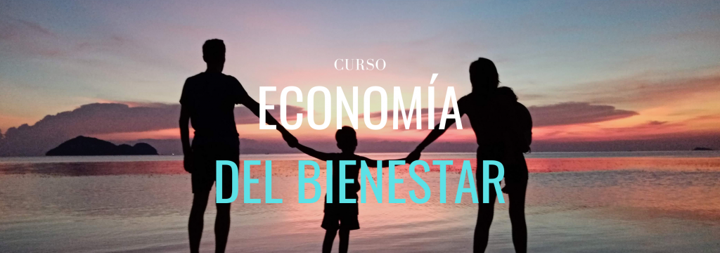 economia del bienestar